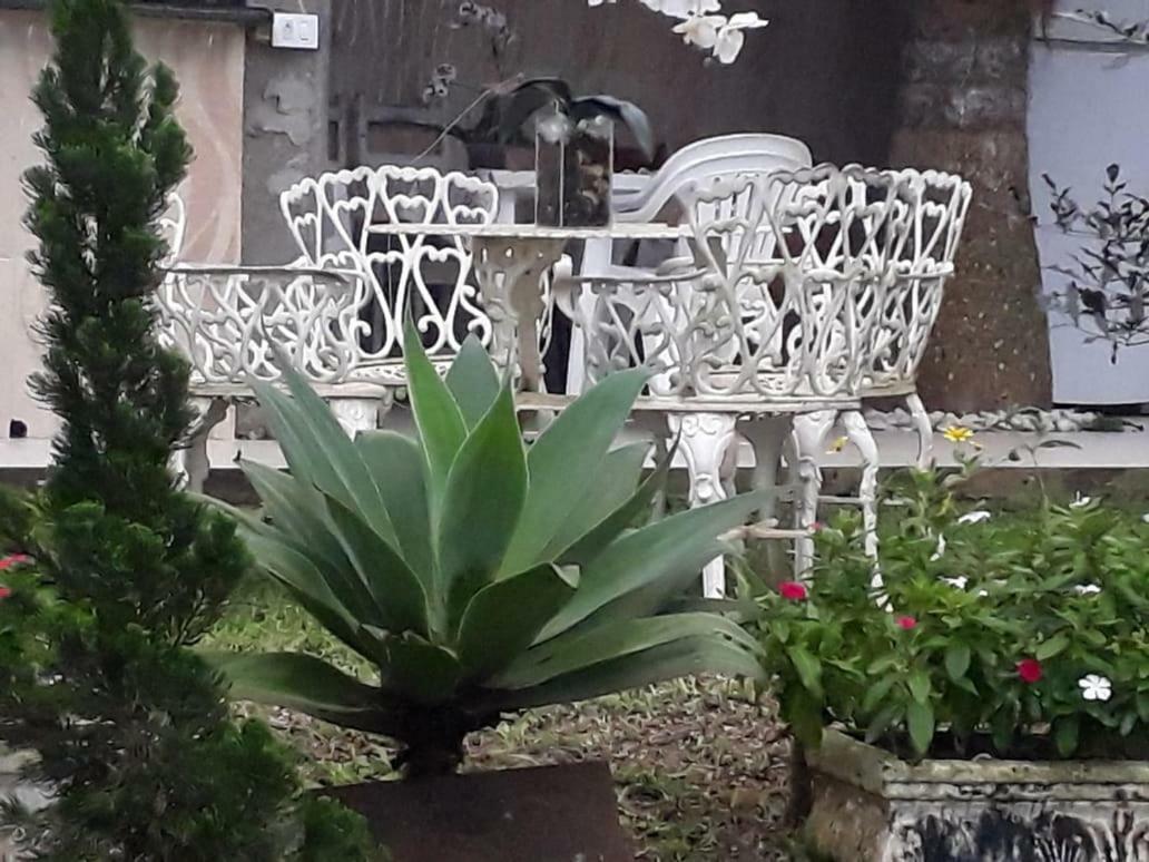 Hospedagem Lagoinha ウバトゥバ エクステリア 写真
